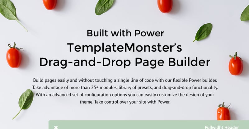 Spatulas WordPress Theme - Image 1