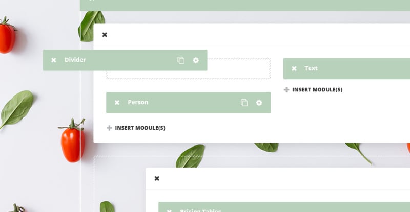 Spatulas WordPress Theme - Image 2